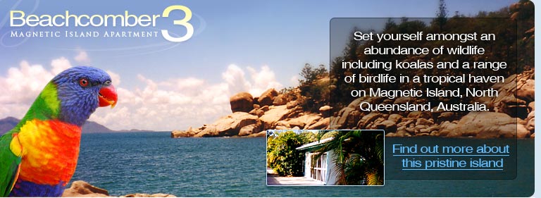 Beachcomber 3 Apartment - Set yourself amongst an abundance of wildlife including koalas and a range of birdlife in a tropical haven on Magnetic Island, North Queensland, Australia